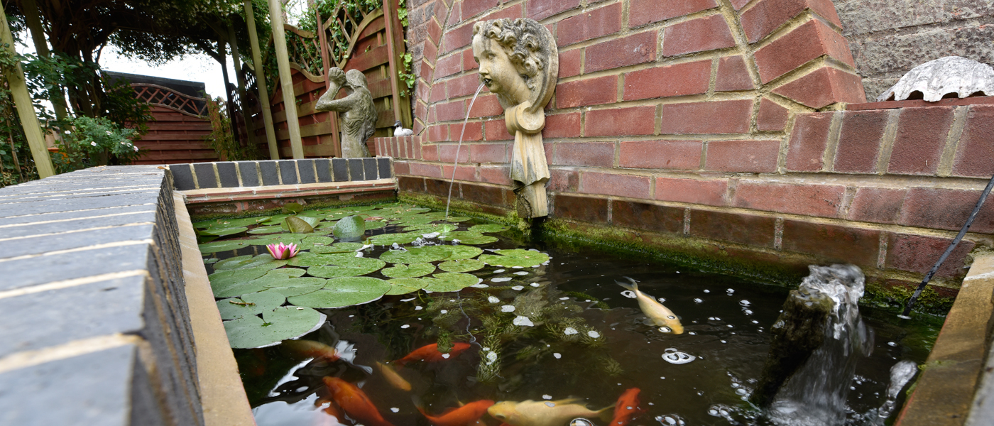 abbey lodge pond